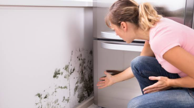 Moisture Problems That Impact Your Home’s Comfort: How to Spot Leaks Early and Prevent Bigger Repairs